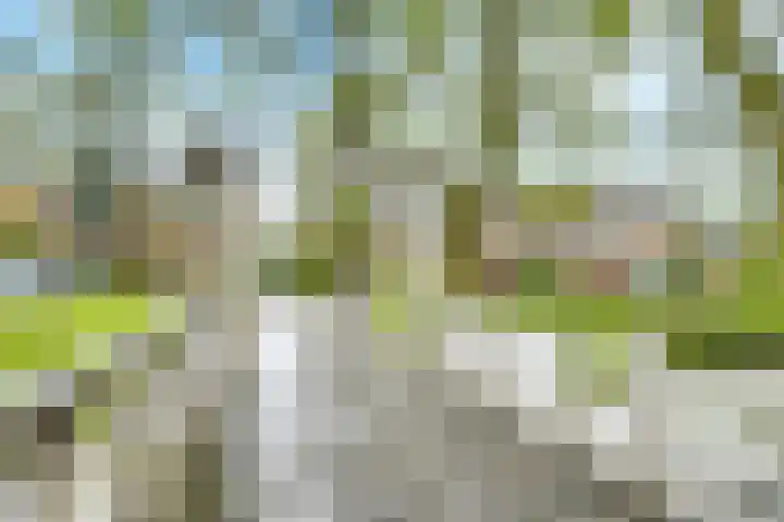 Treek 38 Utrecht thumbnail 28