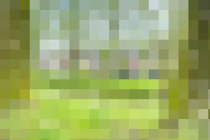Treek 38 Utrecht thumbnail 30