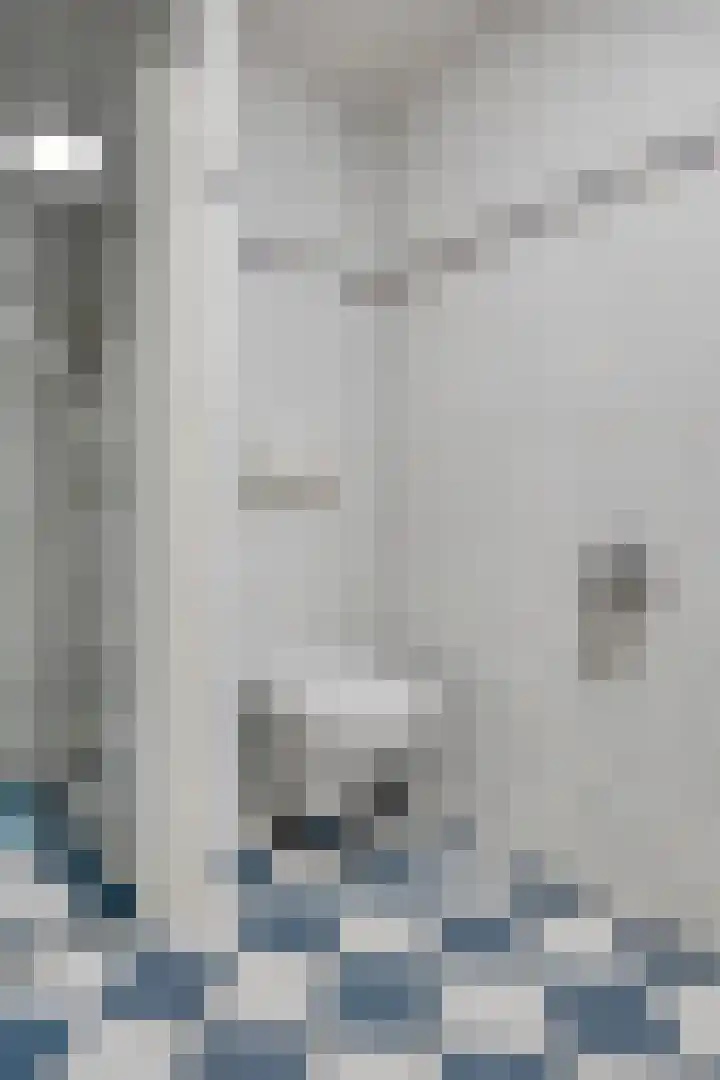 Treek 38 Utrecht thumbnail 7