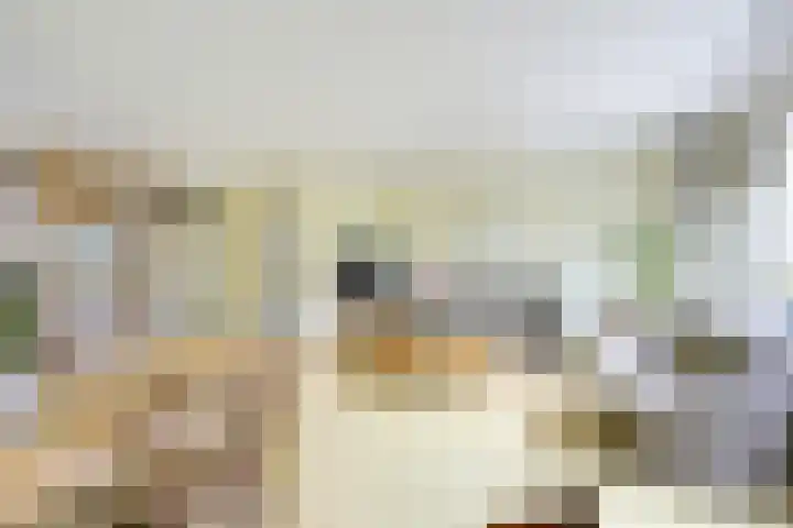Treek 38 Utrecht thumbnail 9