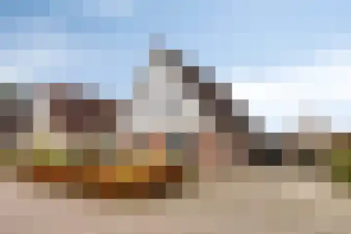 Treem 5 Stiens