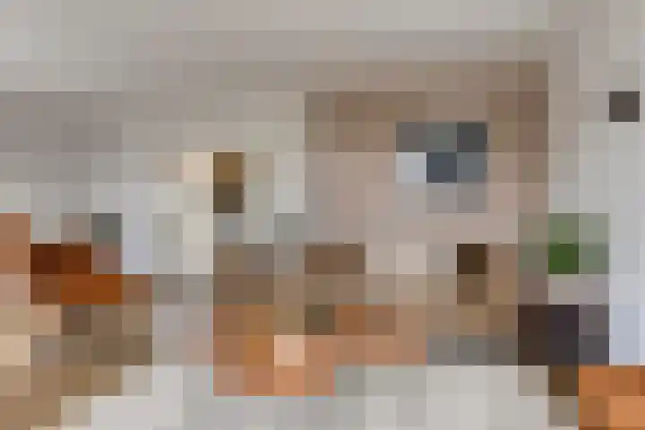 Treem 5 Stiens thumbnail 11
