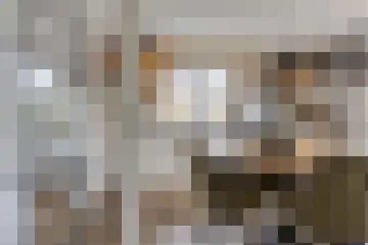 Treem 5 Stiens thumbnail 12