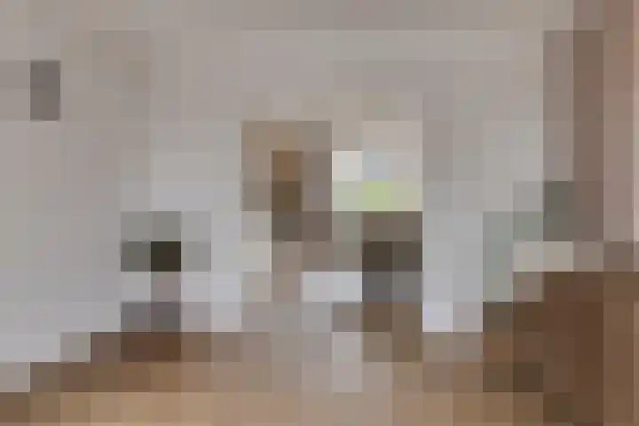 Treem 5 Stiens thumbnail 13