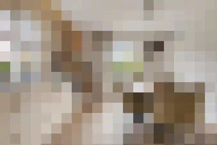 Treem 5 Stiens thumbnail 14