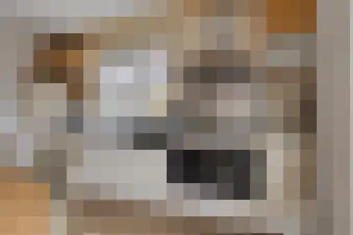 Treem 5 Stiens thumbnail 16
