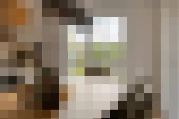 Treem 5 Stiens thumbnail 18