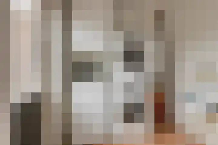 Treem 5 Stiens thumbnail 19