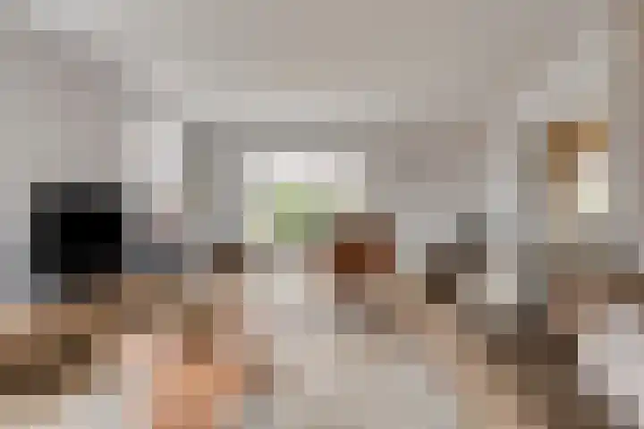Treem 5 Stiens foto 2