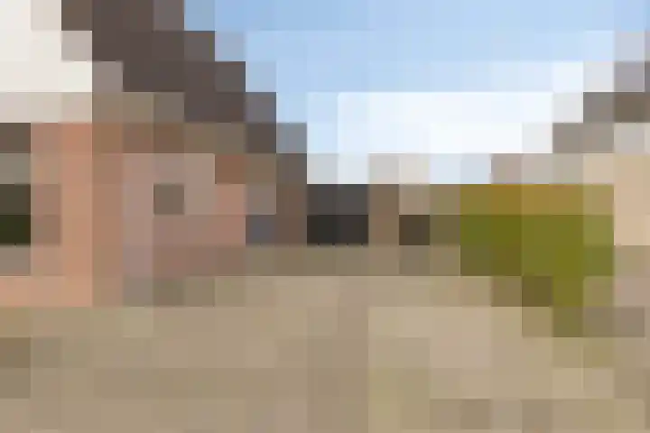 Treem 5 Stiens thumbnail 22