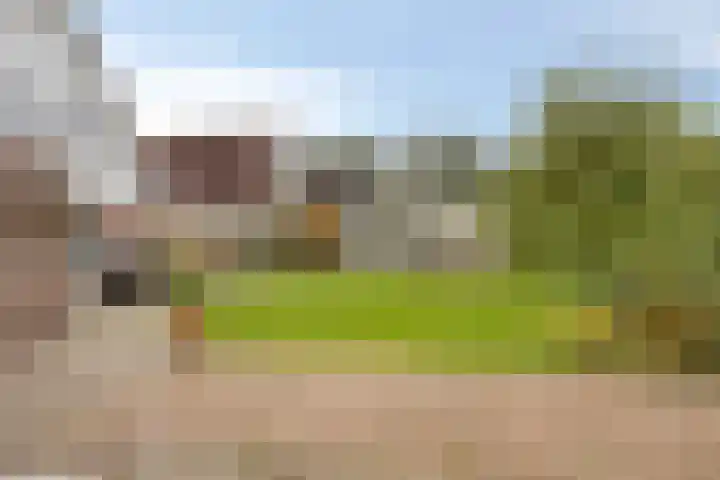 Treem 5 Stiens thumbnail 23