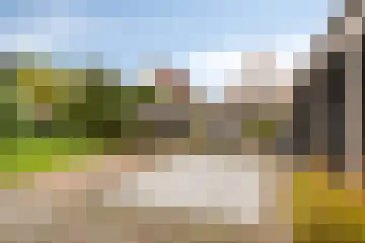 Treem 5 Stiens thumbnail 24