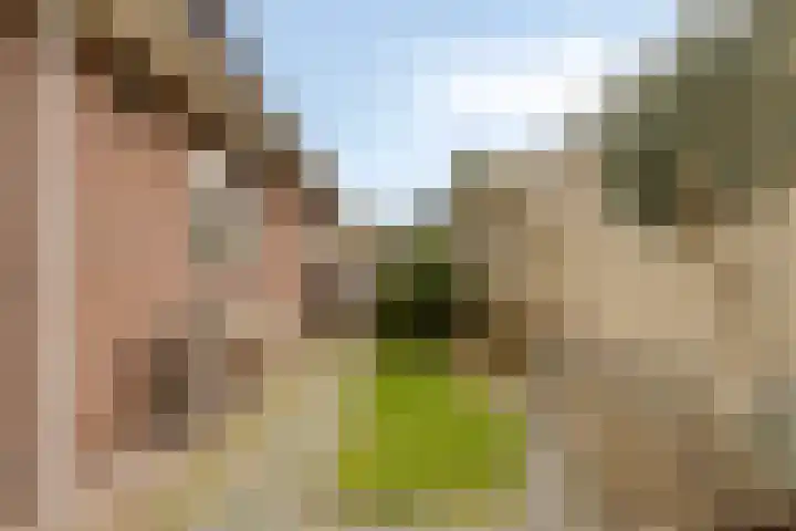 Treem 5 Stiens thumbnail 25