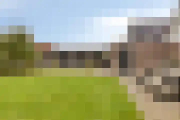 Treem 5 Stiens thumbnail 26