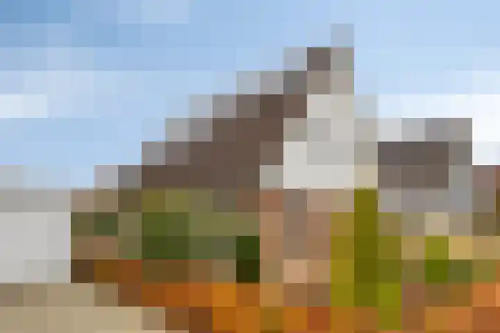 Treem 5 Stiens foto 3