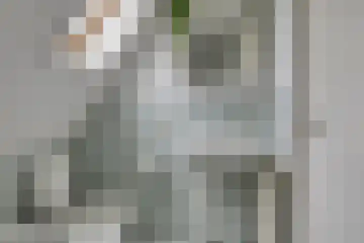 Treem 5 Stiens thumbnail 34