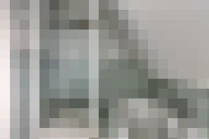 Treem 5 Stiens thumbnail 35