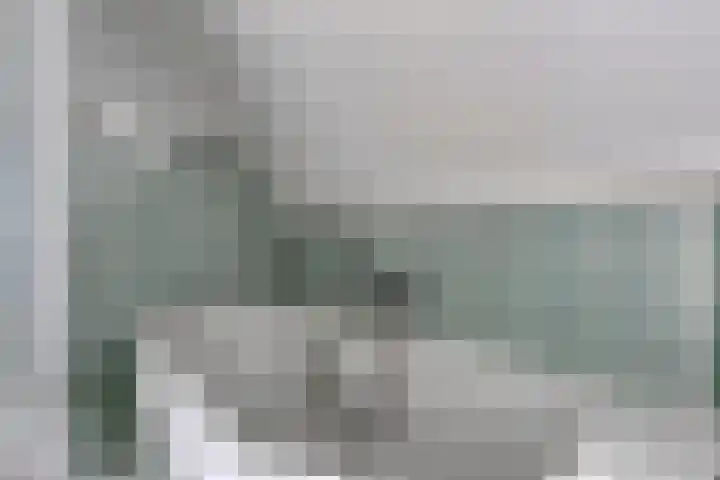 Treem 5 Stiens thumbnail 36