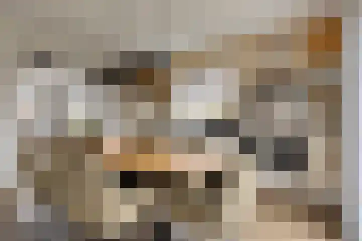 Treem 5 Stiens thumbnail 4