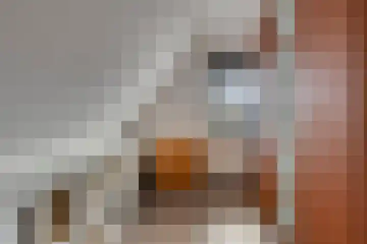 Treem 5 Stiens thumbnail 40