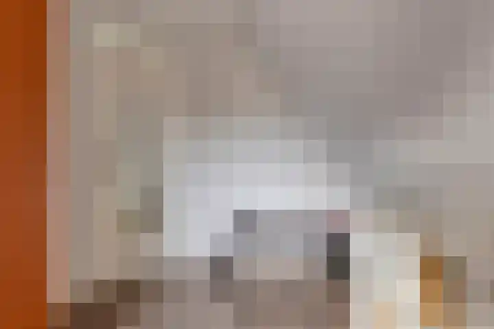Treem 5 Stiens thumbnail 41