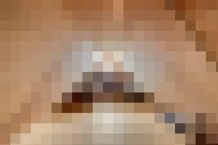 Treem 5 Stiens thumbnail 42
