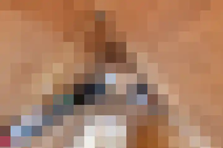 Treem 5 Stiens thumbnail 43