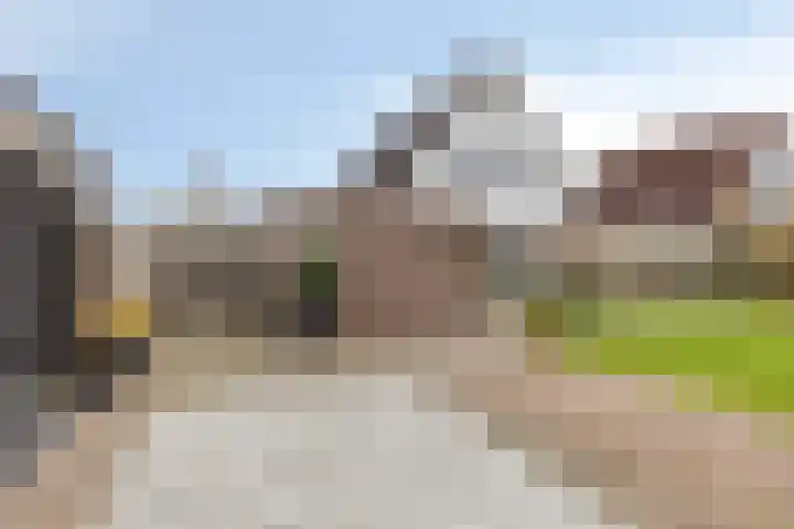 Treem 5 Stiens thumbnail 5