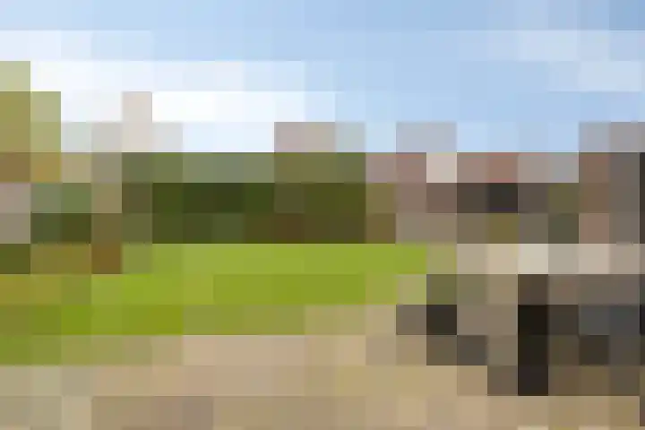 Treem 5 Stiens thumbnail 6