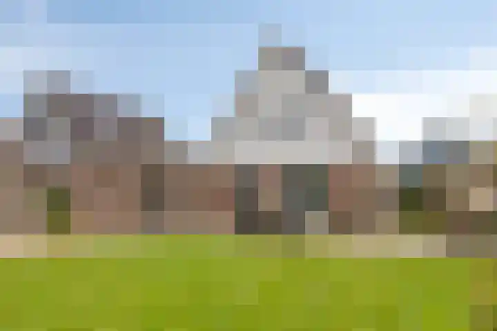 Treem 5 Stiens thumbnail 7