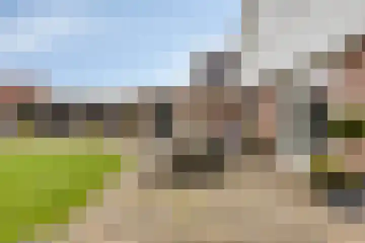 Treem 5 Stiens thumbnail 8