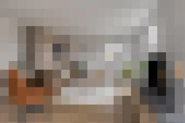 Treem 5 Stiens thumbnail 9