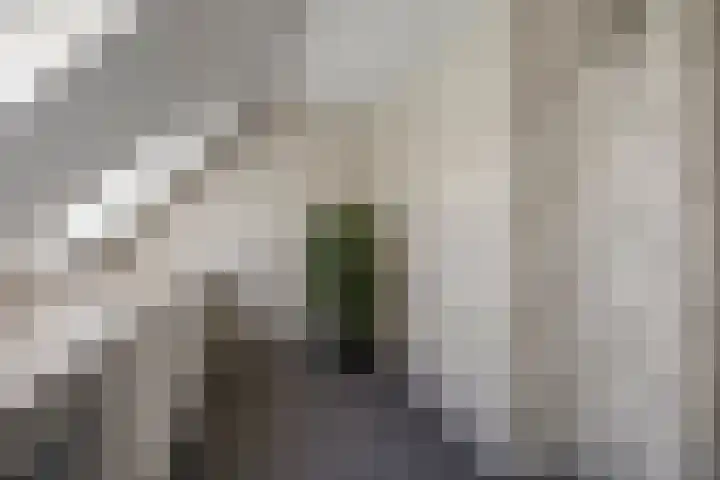 Treilerstraat 50 Den Helder thumbnail 19