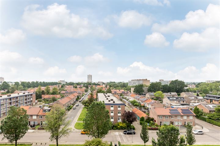 Trekvogelweg 245 in Amersfoort foto