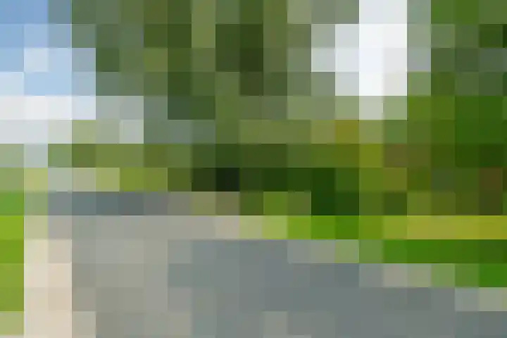Trekweg 10 Kollum thumbnail 12