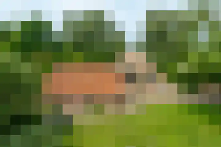 Trekweg 10 Kollum thumbnail 42
