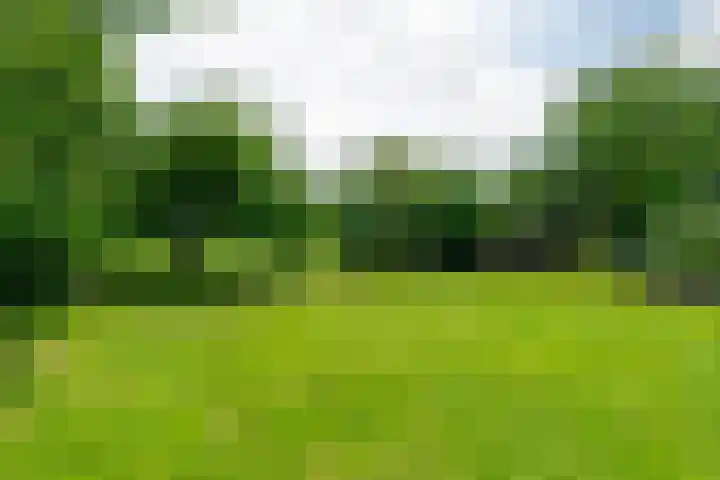 Trekweg 10 Kollum thumbnail 44