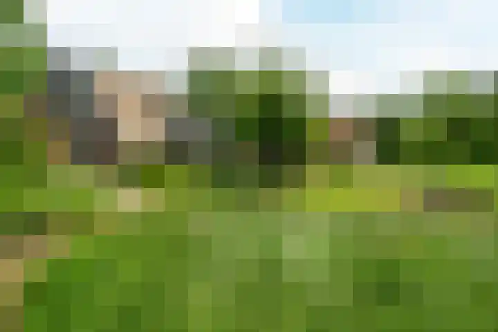 Trekweg 10 Kollum thumbnail 48