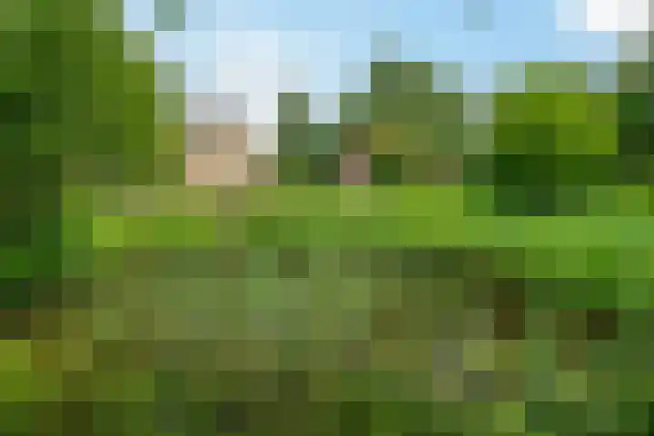 Trekweg 10 Kollum thumbnail 50