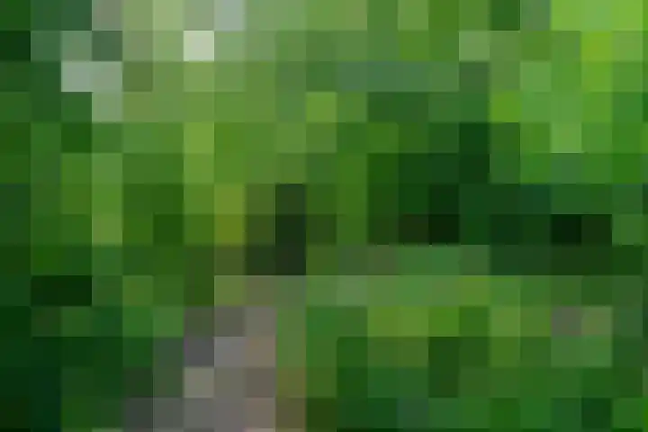 Trekweg 10 Kollum thumbnail 52