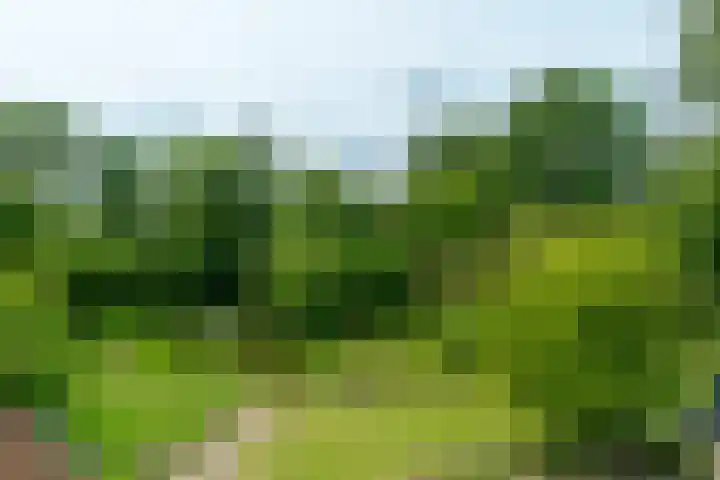 Trekweg 10 Kollum thumbnail 54