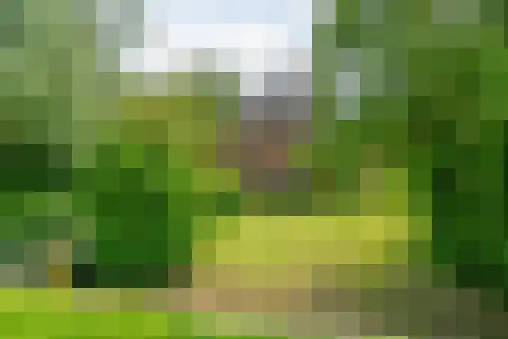 Trekweg 10 Kollum thumbnail 6