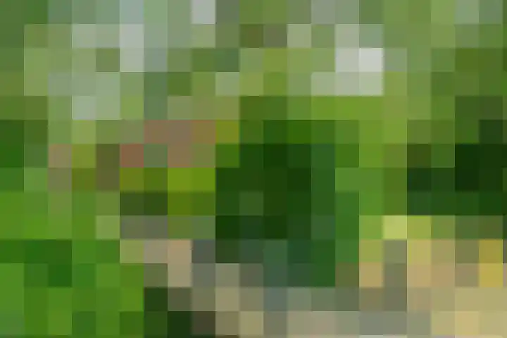 Trekweg 10 Kollum thumbnail 7