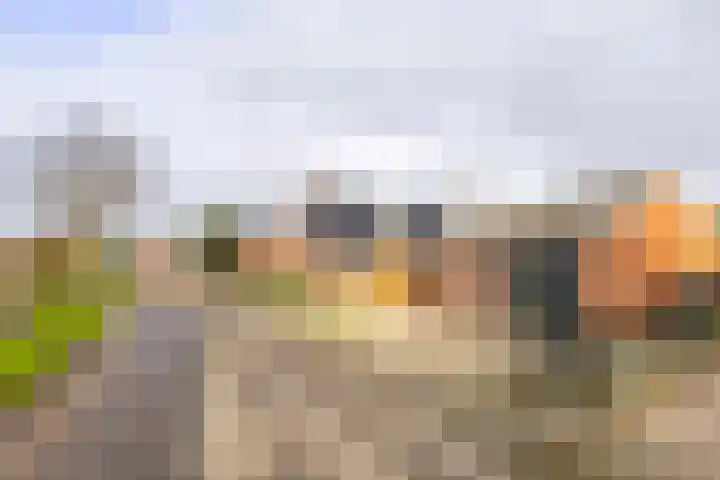 Trekweg 29 Ulrum thumbnail 35