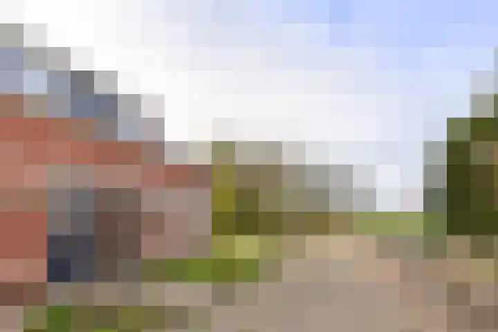 Trekweg 29 Ulrum thumbnail 38