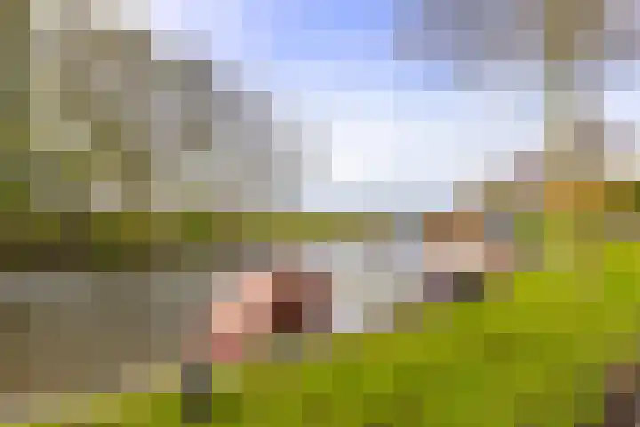 Trekweg 29 Ulrum thumbnail 39