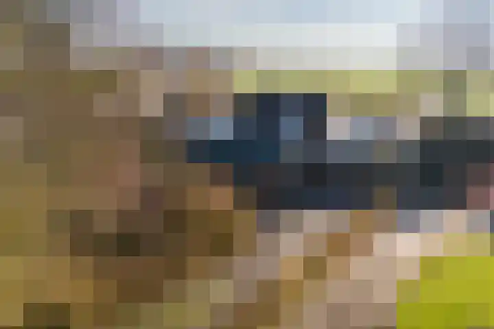 Trekwei 3 Driezum thumbnail 10