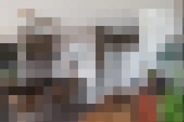Trekwei 3 Driezum thumbnail 13