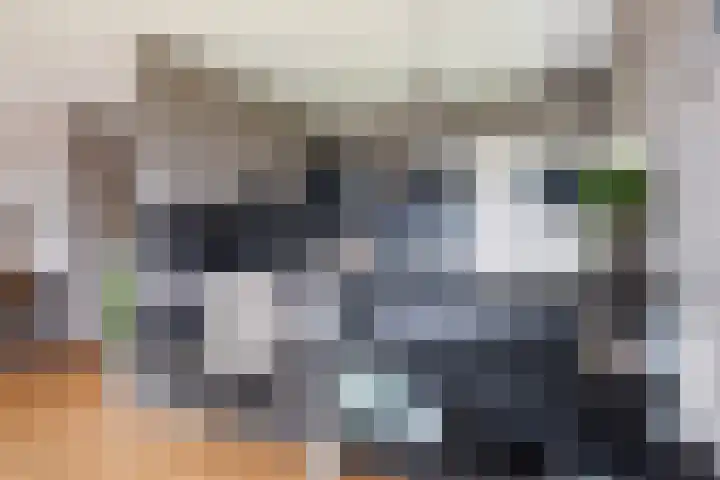 Trekwei 3 Driezum thumbnail 14