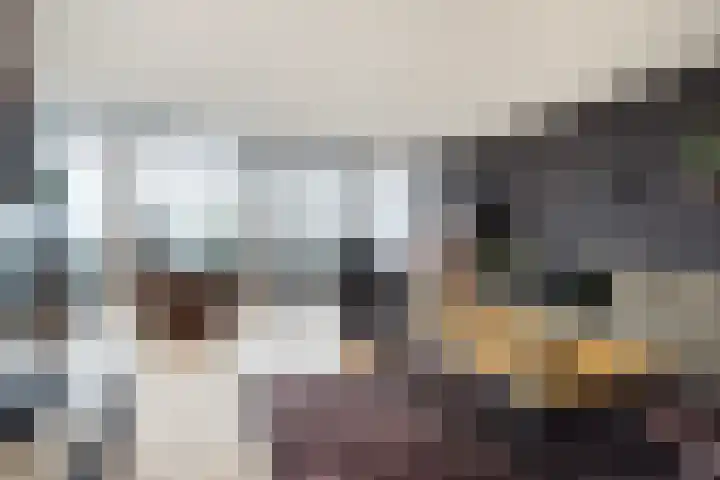 Trekwei 3 Driezum thumbnail 17